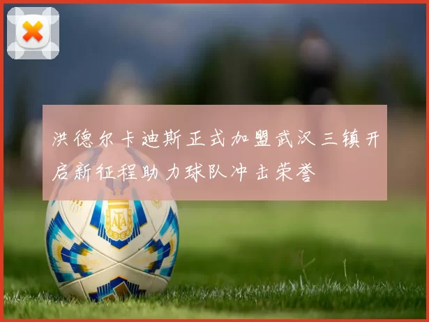 洪德尔卡迪斯正式加盟武汉三镇开启新征程助力球队冲击荣誉
